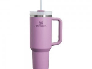 ankara stanley satış noktası