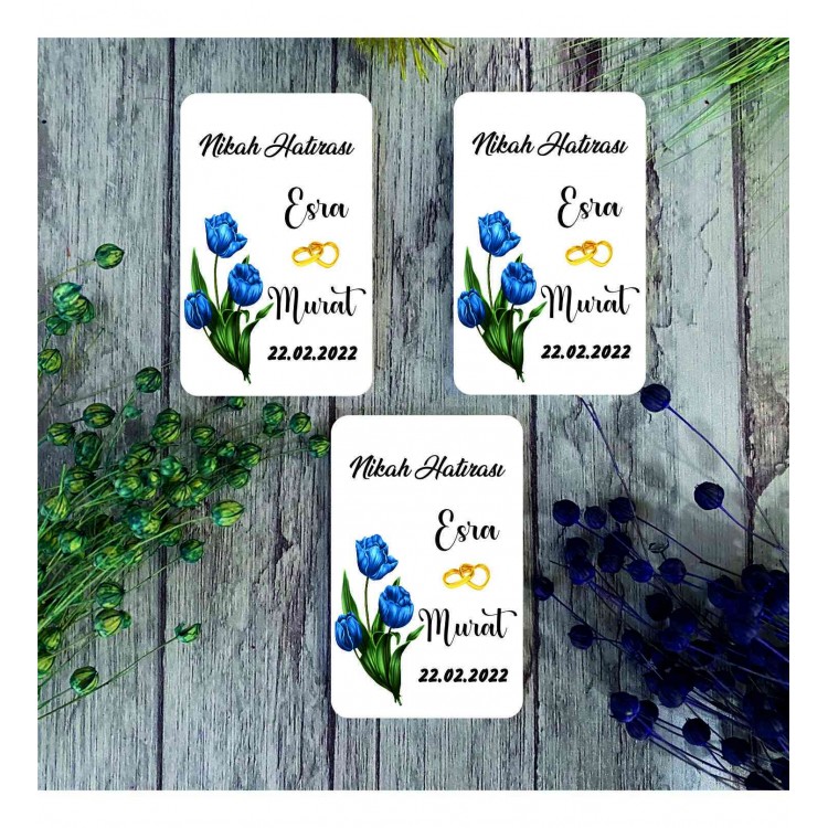 Eskişehir Magnet çeşitleri