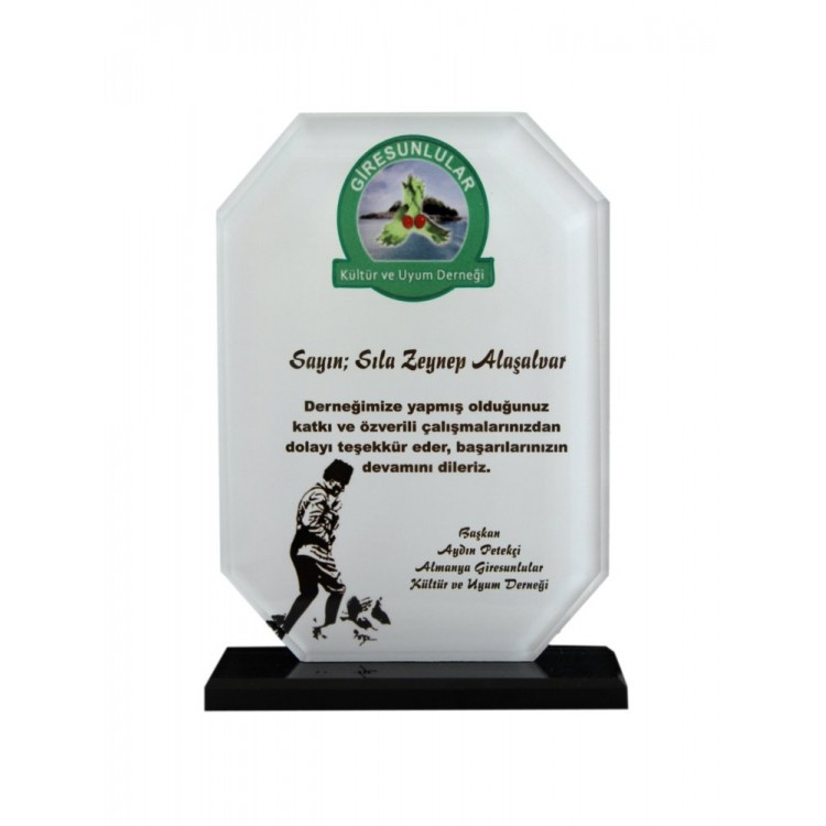 Okullara Özel Kristal  plaketler